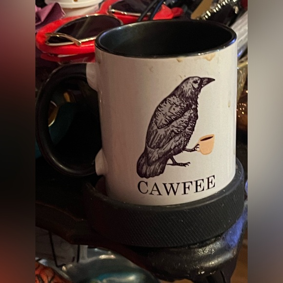 Meet your Posher, Lolly - Picture 8 of 16